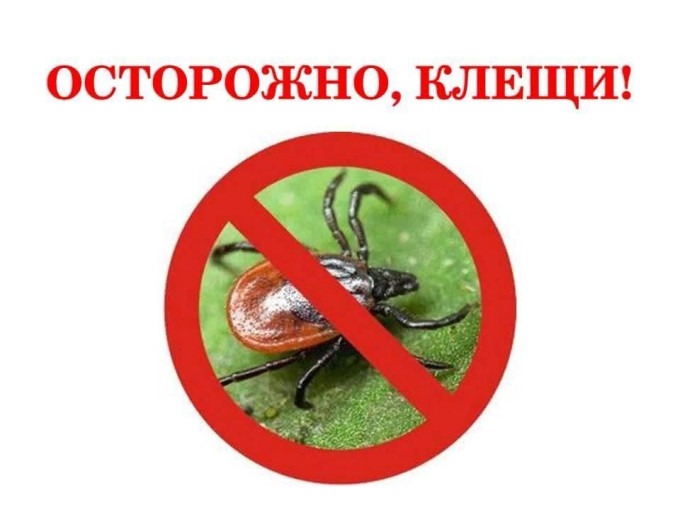 Осторожно, клещ! Осторожно, клещ!.