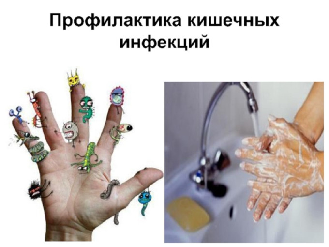 Кишечная инфекция летом Кишечная инфекция летом.