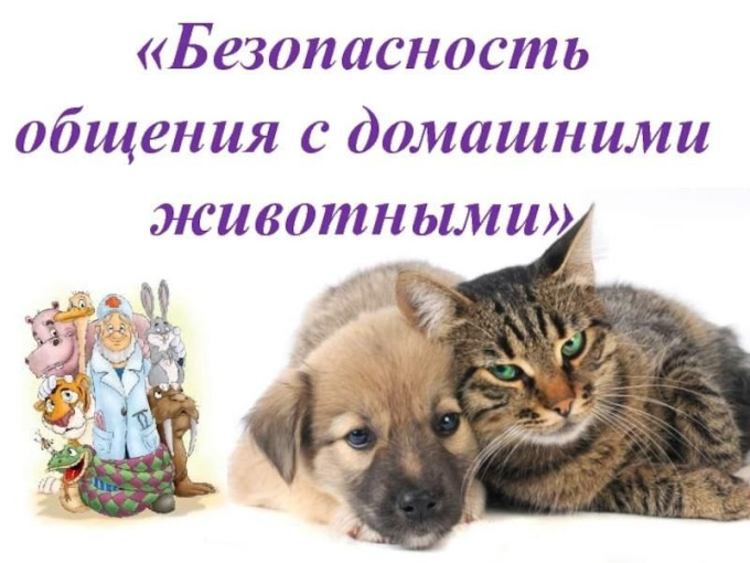 «Правила поведения при общении с животными» «Правила поведения при общении с животными».